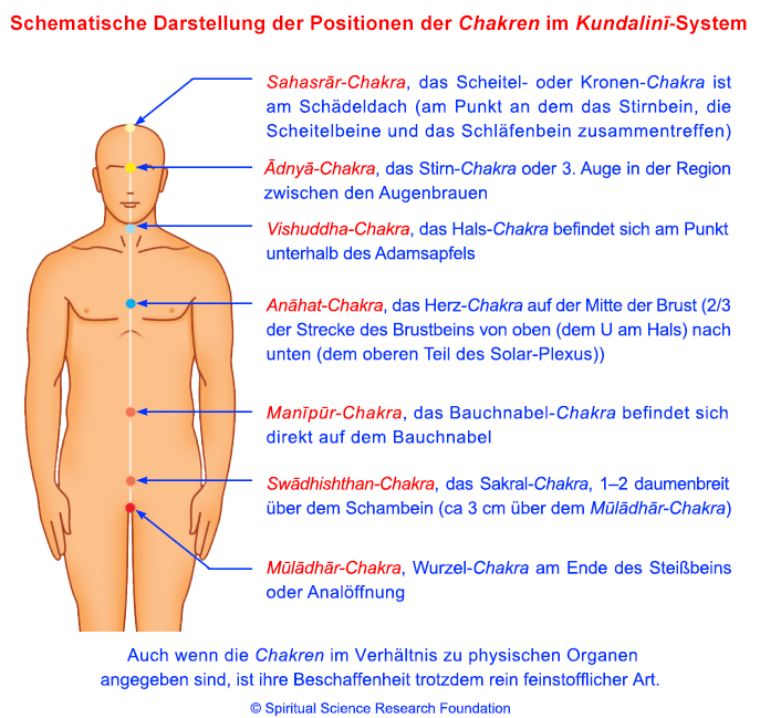 Schematische Darstellung der Positionen der Chakren im Kundalini-System