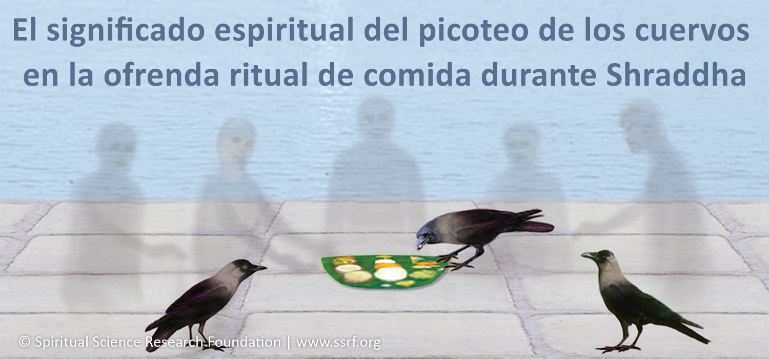 El significado de alimentar a los cuervos durante el ritual de Shraddha en Pitrupaksha
