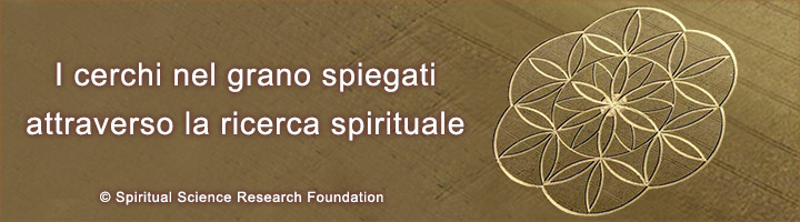 I cerchi nel grano spiegati attraverso la ricerca spirituale
