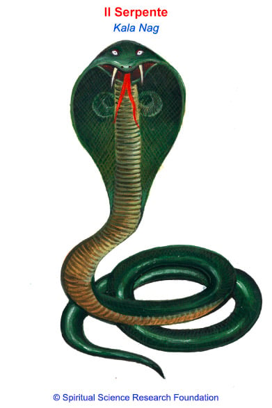 Lo spirito Serpente – Il Serpente Nero