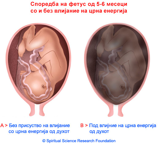7-BG-pregnancy