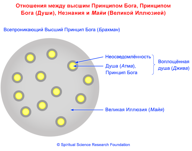 3-RUSS-nescience1
