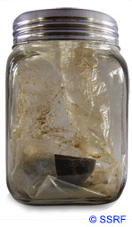 5_-bottle