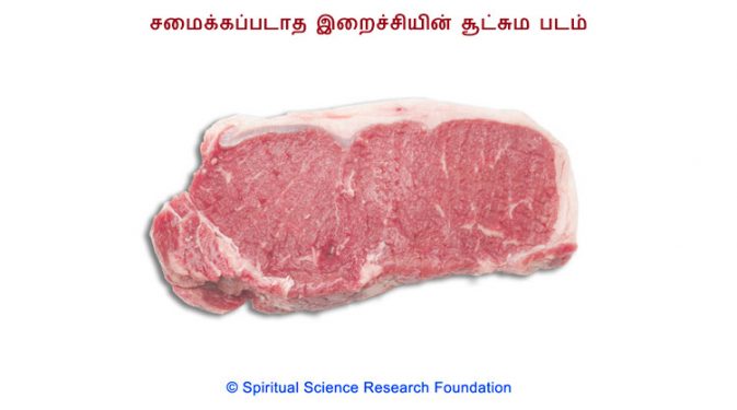 02_TAMIL-(XL)_Meat-S-chitra-1