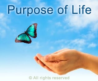 purpose-of-life