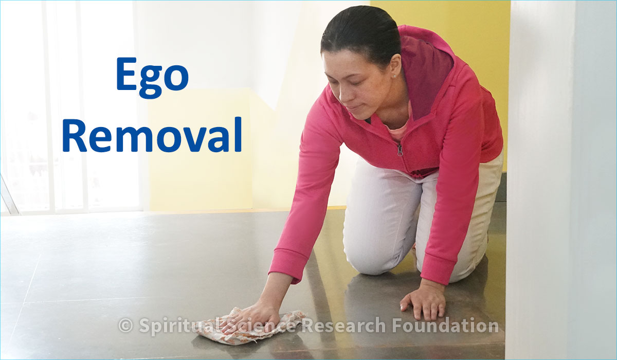 Ego removal