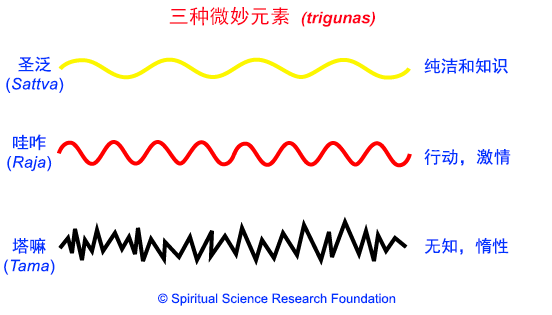 2.CHIN_SRT-waves